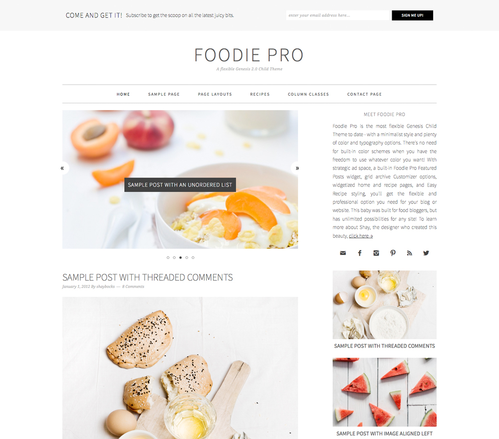 Foodie Pro Wordpress Theme